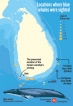All eyes on Southern Coast as debris and spills from IRIS Dena trigger pollution scare