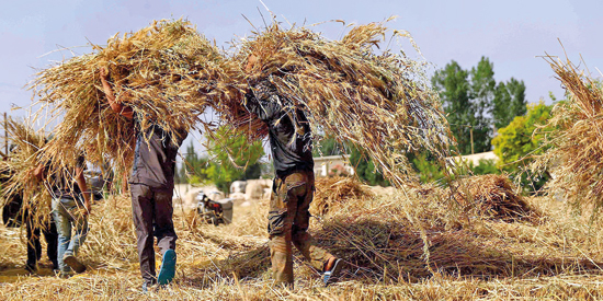 IRAN-WAR_20032026_B05_CMY