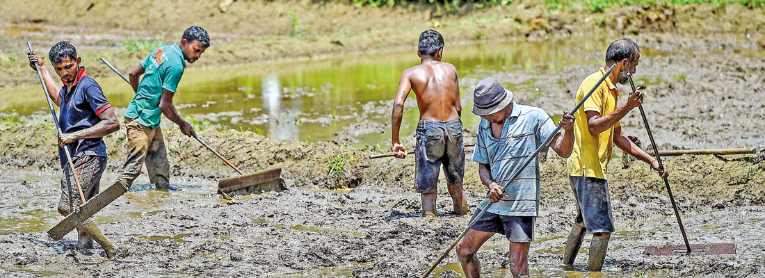 Police crackdown on “fuel hoarding” hits North and East farmers ahead of Yala season
