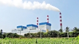 The coal may not be perfect but the procurement is, says Govt.