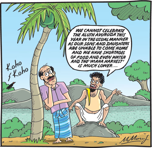 Econ-cartoon