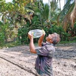 Gampaha Parched Pic by Jayarathna Wikramaarachchi