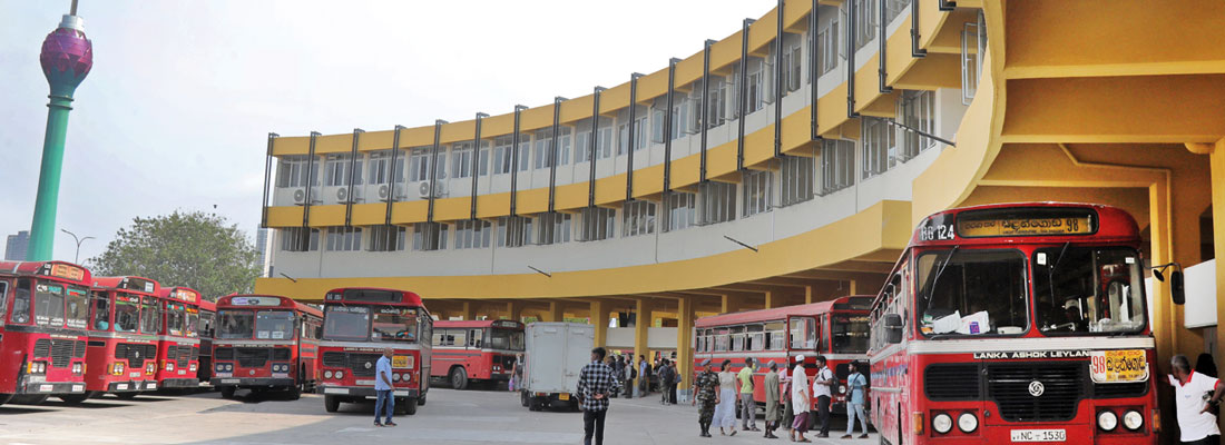 Flies, sparrows and crows