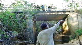 Ditwah sand removal endangers Puttalam bridge; villagers blame officials