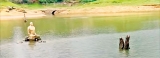 WWCT conducts awareness campaign on leopard attacks in Peradeniya