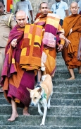 Lanka’s Kalu shows peace is universal