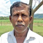 K D Weerasinghe
