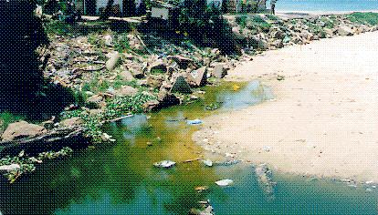 JPEG of Polluted beach - Size 37KB