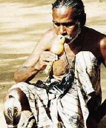 snake charmer