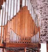 Organ