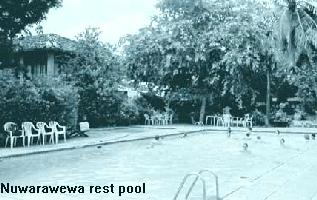 Nuwarawewa rest pool
