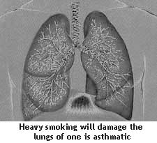 damage the lungs