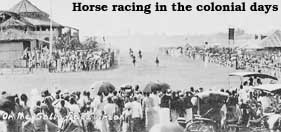 Horse races