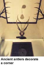 Ancient antlers decorate a corner