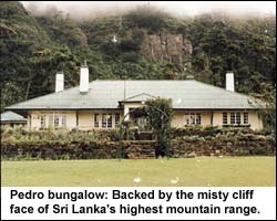Pedro bungalow: Backed by the misty cliff face of Sri Lanka's highest mountain range
