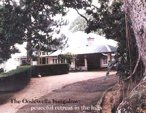 The Oodewella estate bungalow