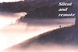 Silent and remote