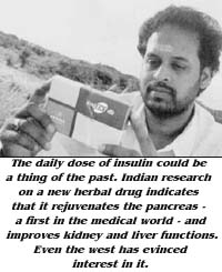 The daily dose of insulin could be a thing of the past. Indian research on a new herbal drug indicates that it rejuvenates the pancreas - a first in the medical world - and improves kidney and liver functions. Even the west has evinced interest in it.