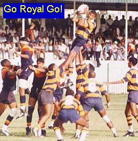 Go Royal Go!