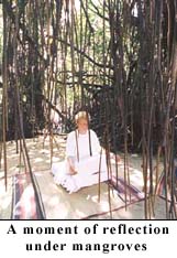 A moment of reflection under mangroves