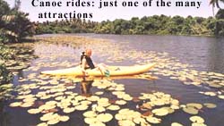 Canoe rides