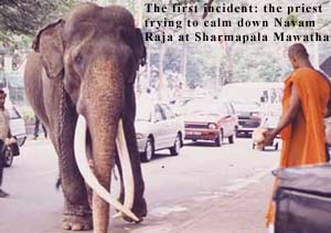 The first incident: the priest trying to calm down Navam Raja at Dharmapala Mawatha