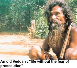 an old Veddah