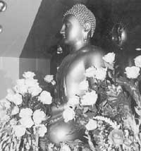 Buddha Statue