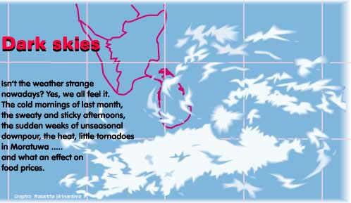 Isn't the weather strange nowadays? Yes, we all feel it. The cold mornings of last month, the sweaty and sticky afternoons, the sudden weeks of unseasonal downpour, the heat, little ctornadoes in Moratuwa ..... and what an effect on food prices.