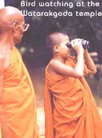 Bird watching at the Watarakgoda temple