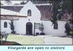 Vineyards are open to visitors