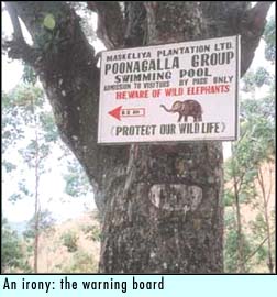 An irony: the warning board