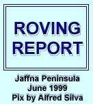Roving Report