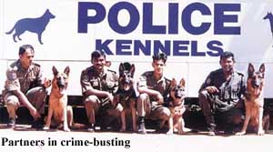 crime-bustiing