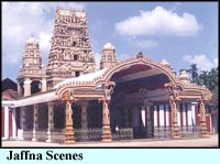 Jaffna Scenes