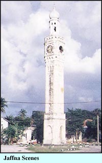 Jaffna Scenes