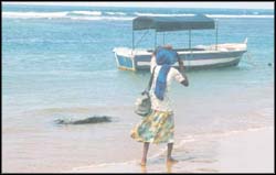 A paradise to save