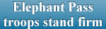 Elephant Pass troops stand firm