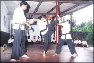 Martial arts